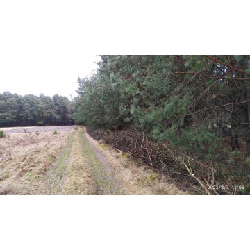 Działka rolna Bocheniec sprzedam, pow. 4778 m2  (47.8a) - zdjęcie 2
