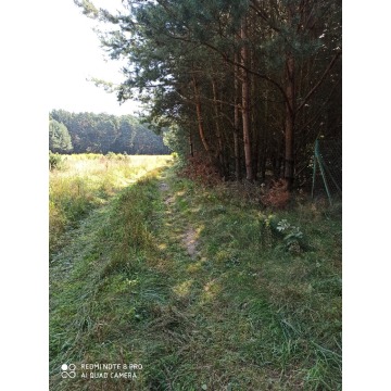 Działka rolna Bocheniec sprzedam, pow. 4778 m2  (47.8a) - zdjęcie 4