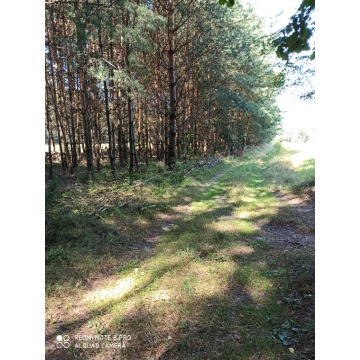 Działka rolna Bocheniec sprzedam, pow. 4778 m2  (47.8a) - zdjęcie 6