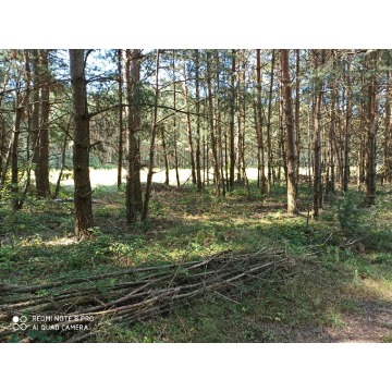 Działka rolna Bocheniec sprzedam, pow. 4778 m2  (47.8a) - zdjęcie 7