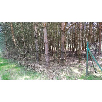 Działka rolna Bocheniec sprzedam, pow. 4778 m2  (47.8a) - zdjęcie 8