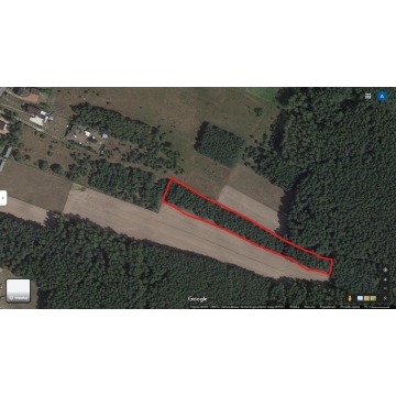 Działka rolna Bocheniec sprzedam, pow. 4778 m2  (47.8a) - zdjęcie 10