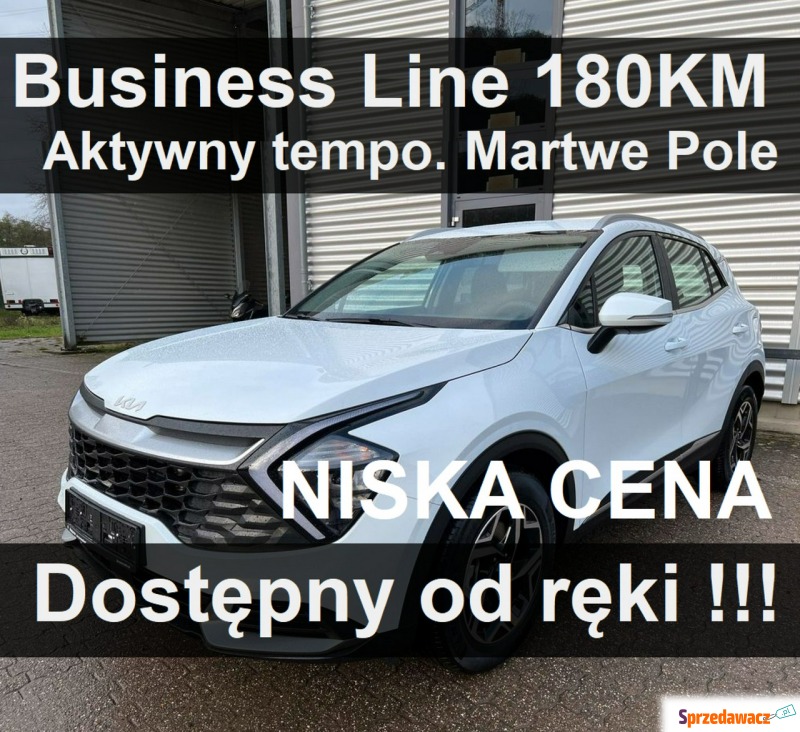 Kia Sportage  SUV 2023,  1.6 hybryda - Na sprzedaż za 162 657 zł - Szczecinek