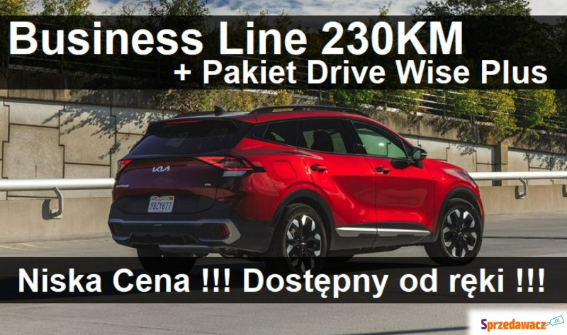 Kia Sportage  SUV 2023,  1.6 hybryda - Na sprzedaż za 176 049 zł - Szczecinek