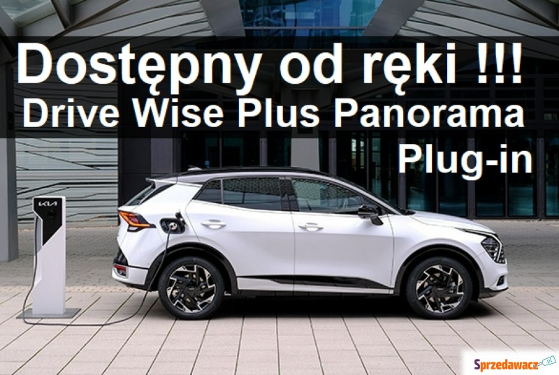 Kia Sportage  SUV 2023,  0.0 zasilanie elektryczne - Na sprzedaż za 207 669 zł - Szczecinek