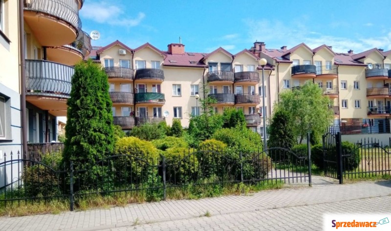 Mieszkanie dwupokojowe Legnica,   47 m2, parter - Sprzedam