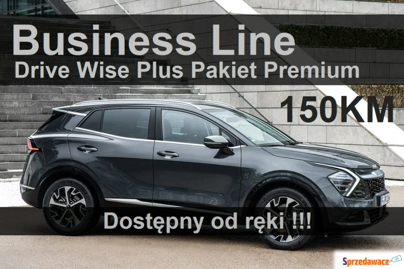 Kia Sportage  SUV 2023,  1.6 benzyna - Na sprzedaż za 170 004 zł - Szczecinek