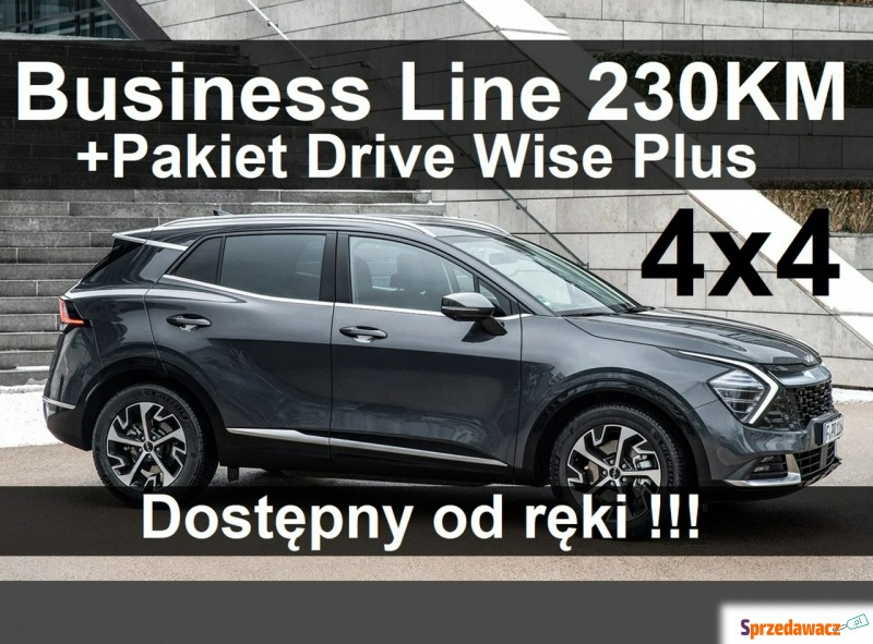 Kia Sportage  SUV 2023,  1.6 hybryda - Na sprzedaż za 179 304 zł - Szczecinek