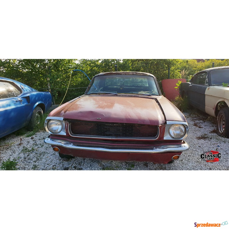 Ford Mustang 1965,  0.0 benzyna - Na sprzedaż za 29 000 zł - Bochnia