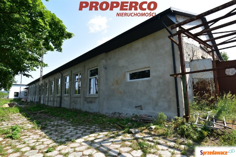 Hala i biuro, ok. 600 m2, Promnik, gm. Strawczyn - Lokale użytkowe do w... - Promnik