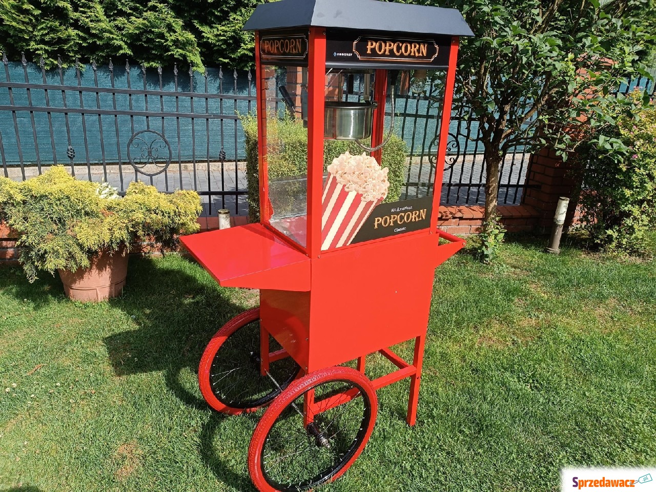 Maszyna do popcornu popcorn