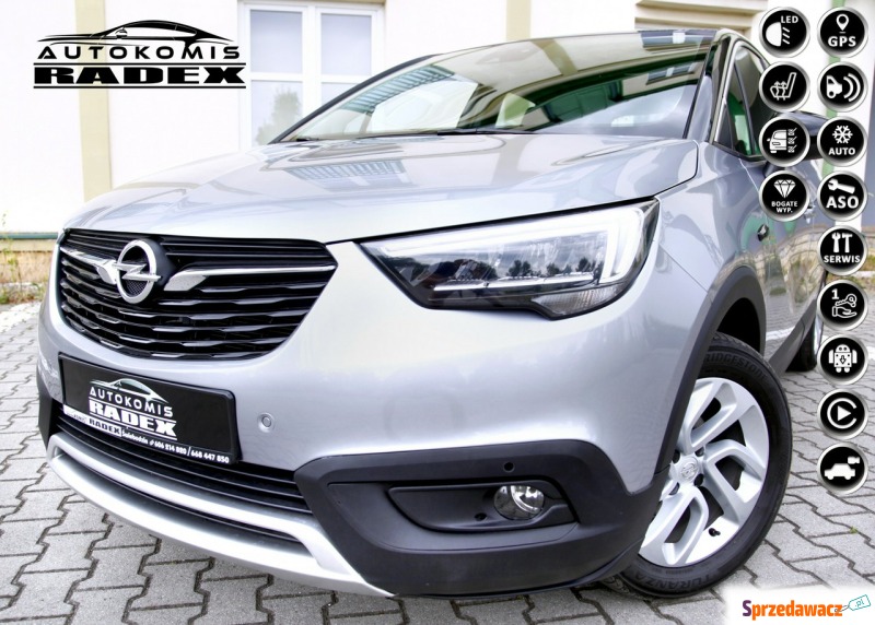 Opel Crossland X  Minivan/Van 2020,  1.5 diesel - Na sprzedaż za 62 900 zł - Świebodzin