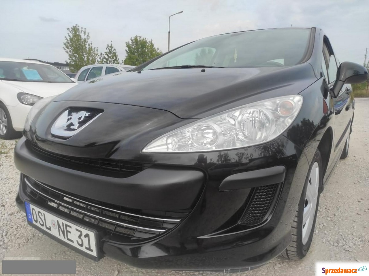 Peugeot 308 2010