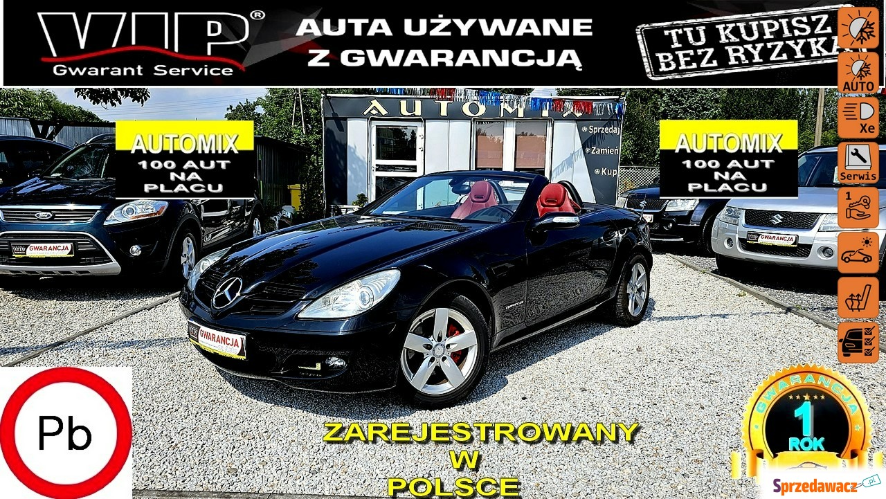 Mercedes - Benz SLK-klasa 2004