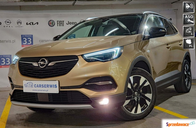 Opel Grandland X  SUV 2017,  1.2 benzyna - Na sprzedaż za 69 800 zł - Warszawa