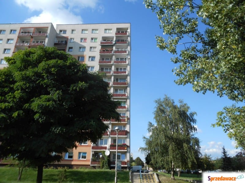 Mieszkanie trzypokojowe Częstochowa - Północ,   58 m2, 8 piętro - Sprzedam