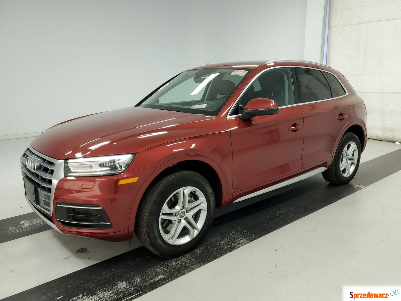 Audi Q5 2019