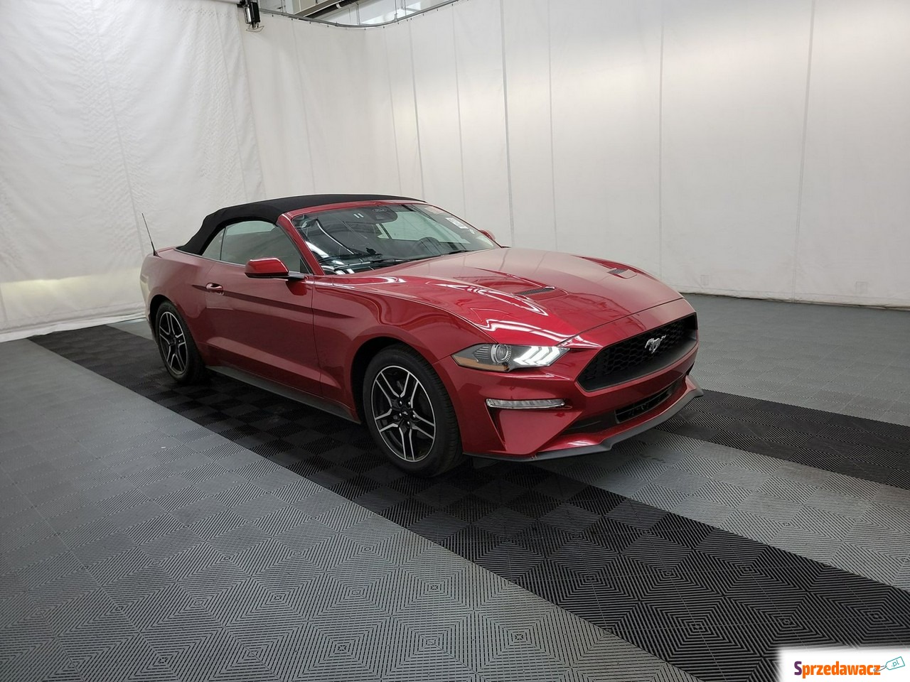 Ford Mustang 2023