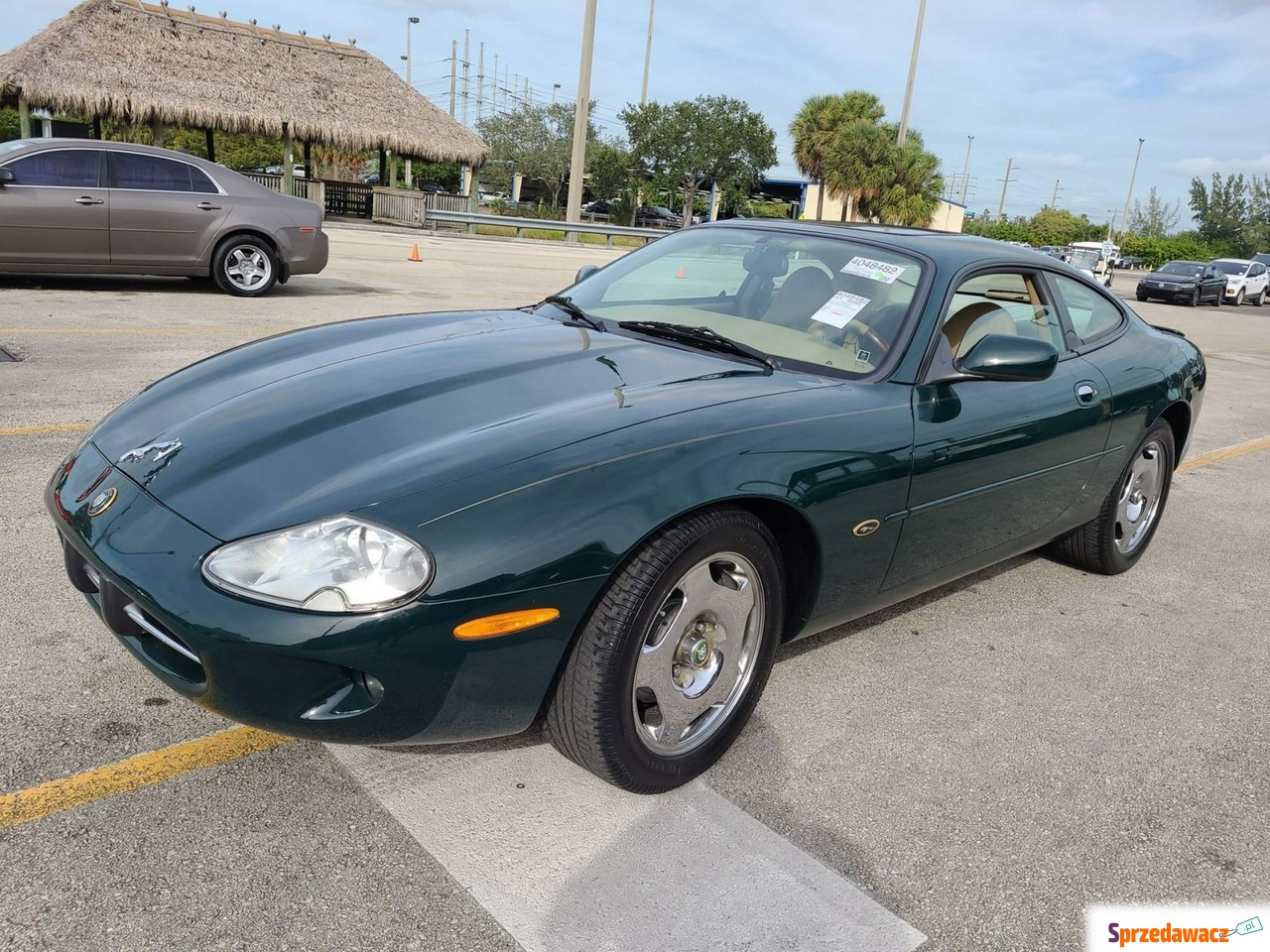 Jaguar XK 1996