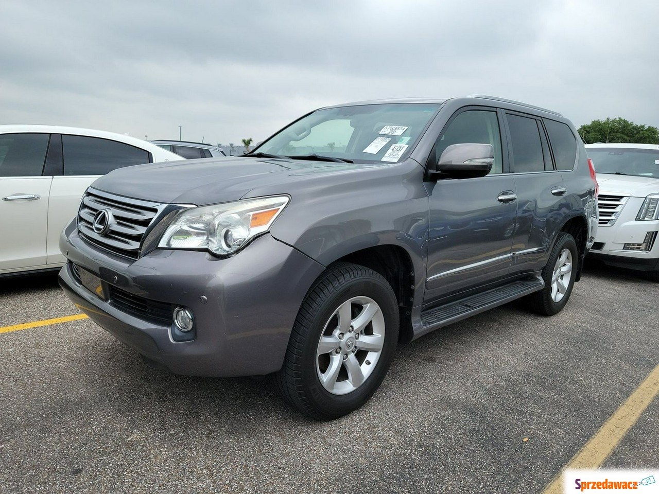 Lexus 2012