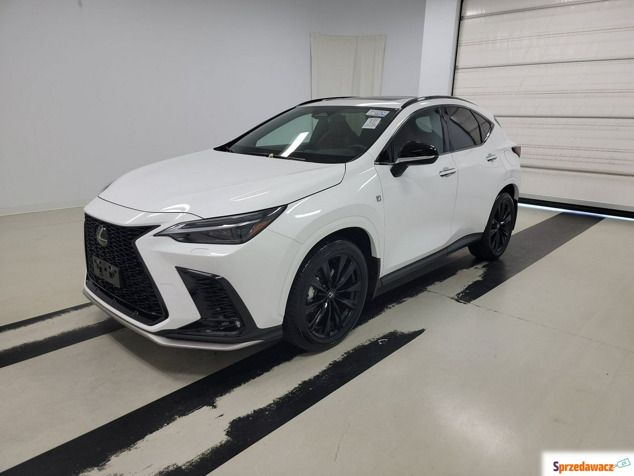 Lexus NX 2024