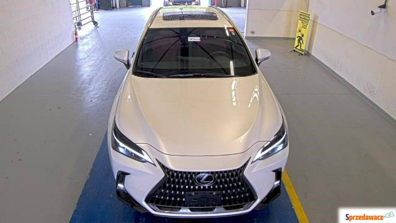Lexus NX 2022