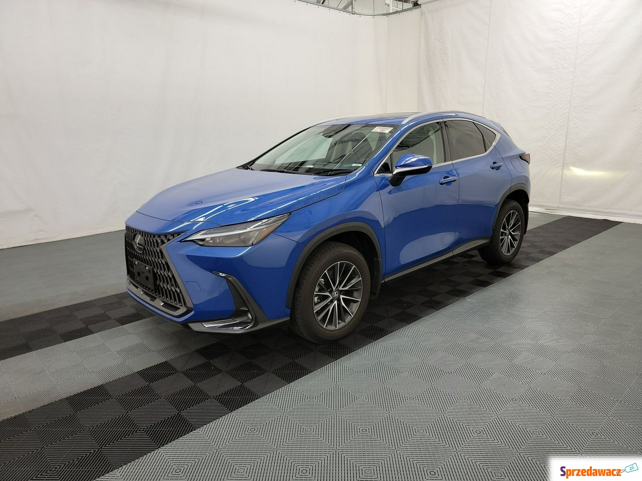 Lexus NX 2022