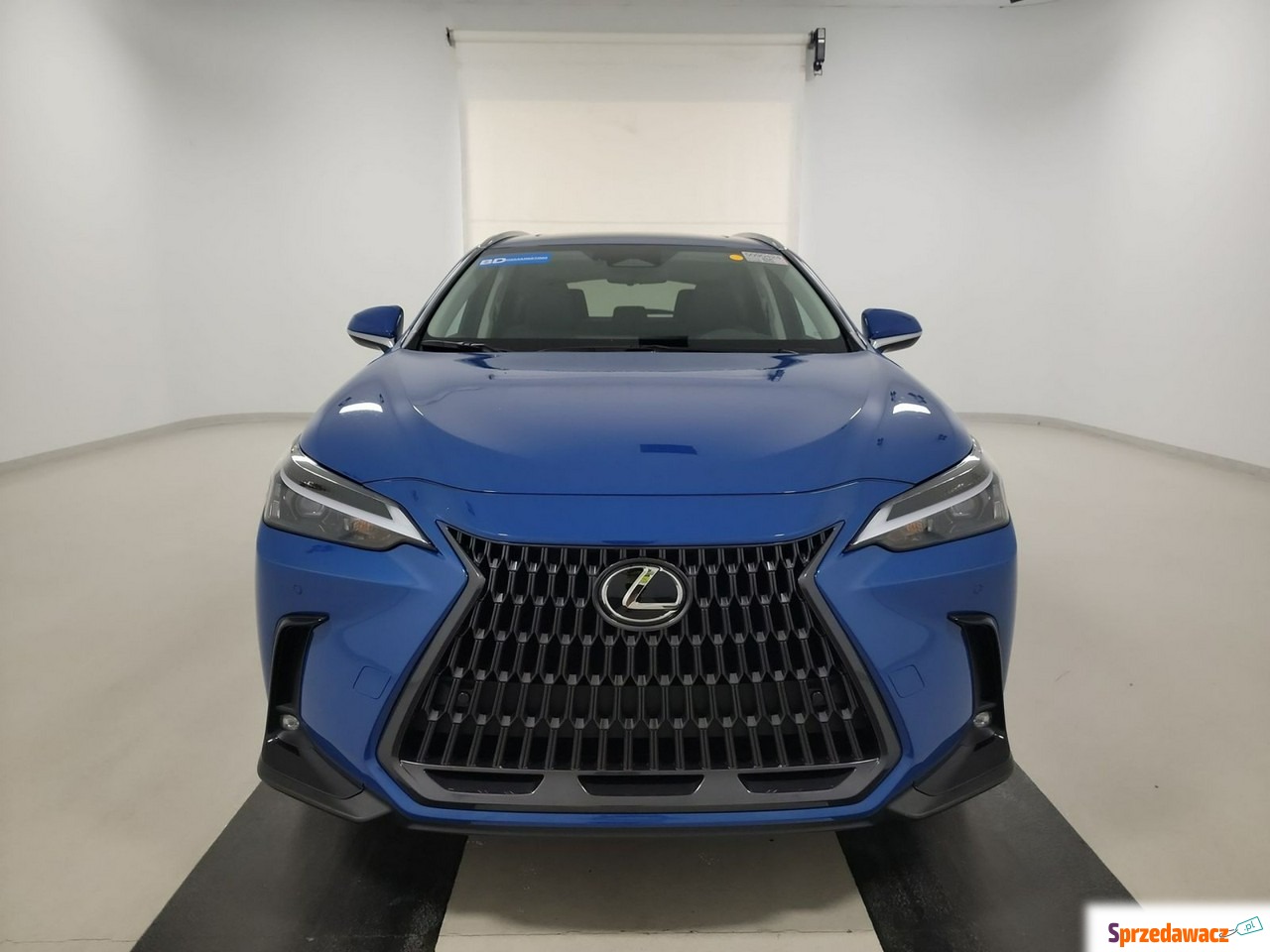 Lexus NX 2022