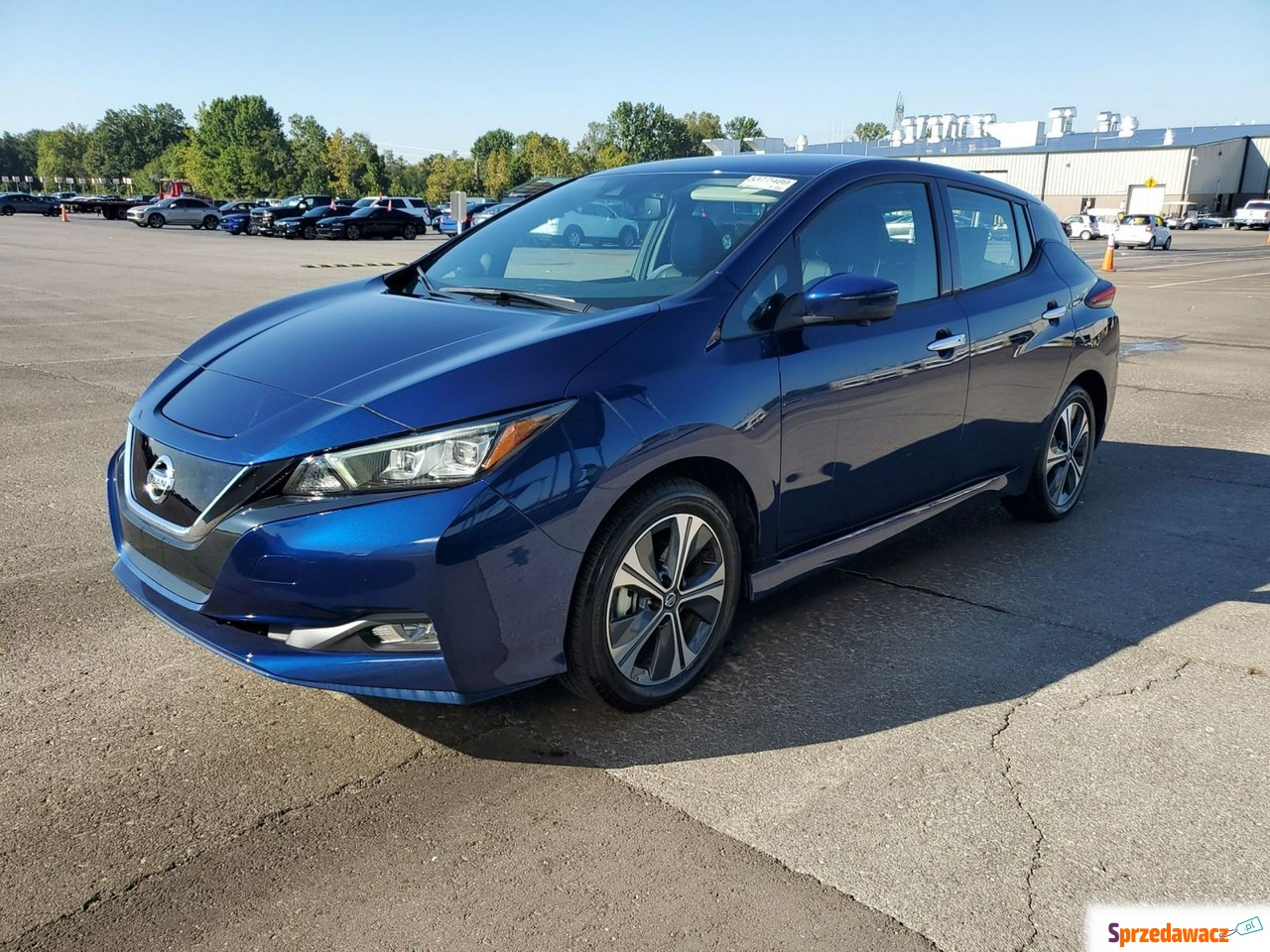 Nissan Leaf 2020