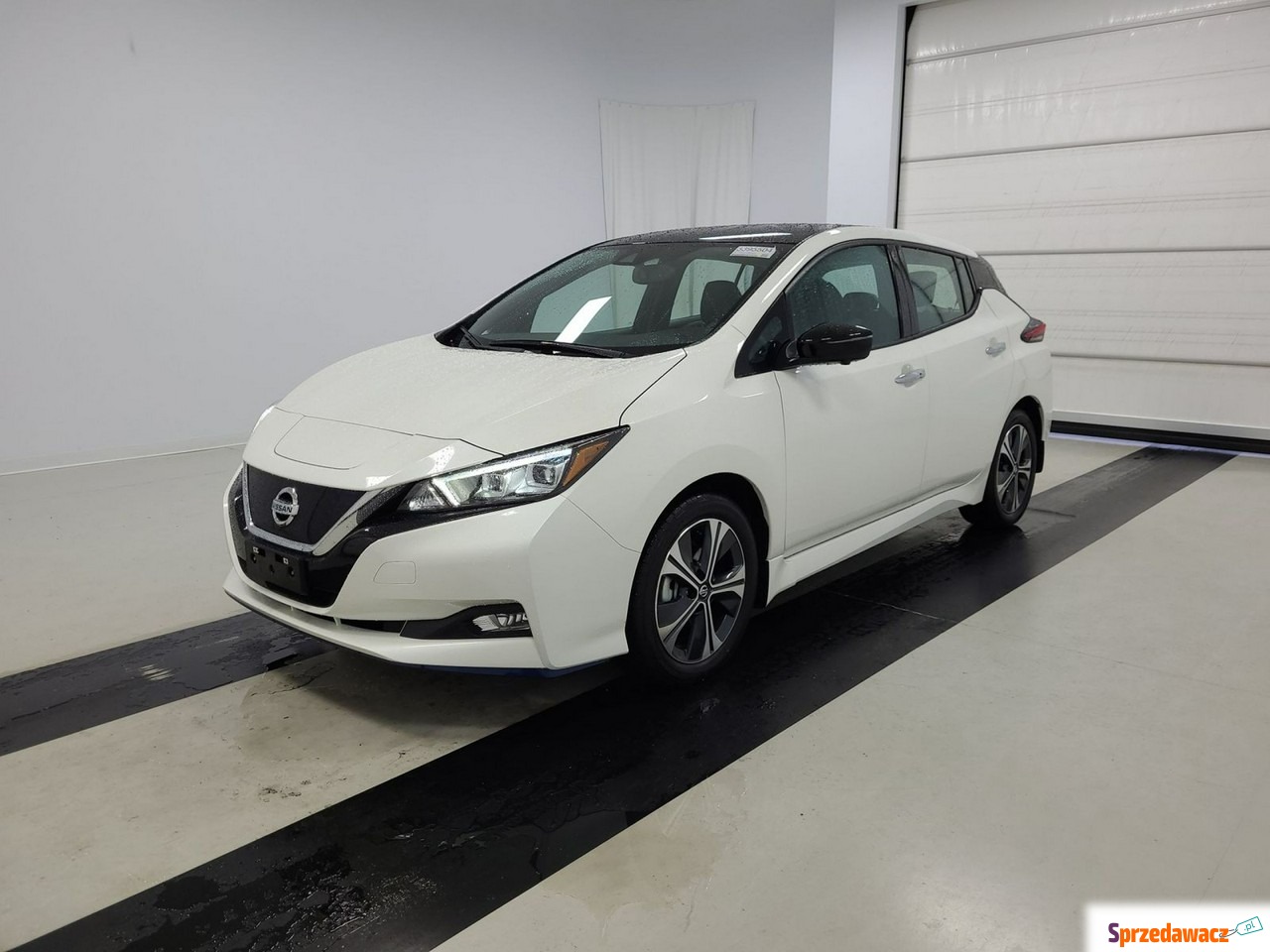 Nissan Leaf 2021