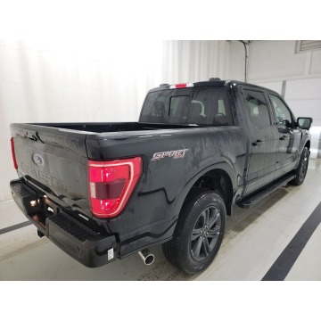 Ford F150 2023,  3.3 benzyna, automat - Na sprzedaż za 186 960 zł - Katowice - zdjęcie 5