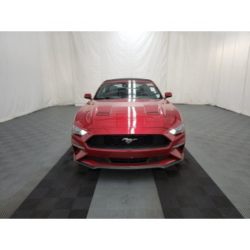 Ford Mustang  Kabriolet 2023,  2.3 benzyna, automat - Na sprzedaż za 132 450 zł - Katowice - zdjęcie 2