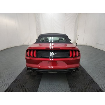 Ford Mustang  Kabriolet 2023,  2.3 benzyna, automat - Na sprzedaż za 132 450 zł - Katowice - zdjęcie 5