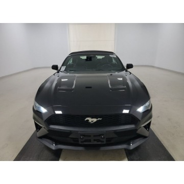 Ford Mustang  Kabriolet 2023,  2.3 benzyna, automat - Na sprzedaż za 102 000 zł - Katowice - zdjęcie 2