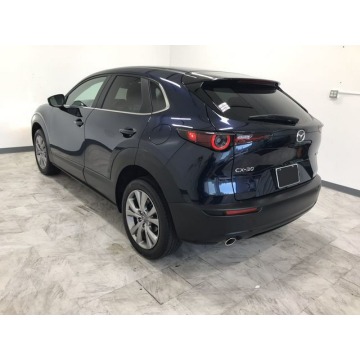 Mazda CX-30  SUV 2020,  2.5 benzyna, automat - Na sprzedaż za 88 683 zł - Katowice - zdjęcie 6