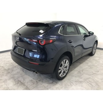 Mazda CX-30  SUV 2020,  2.5 benzyna, automat - Na sprzedaż za 88 683 zł - Katowice - zdjęcie 4