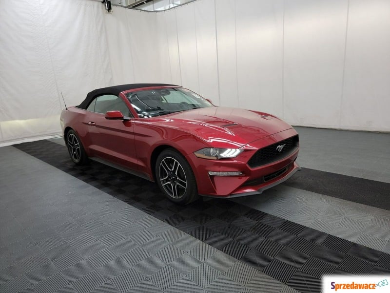 Ford Mustang  Coupe/Sportowy 2023,  2.3 benzyna - Na sprzedaż za 132 450 zł - Mikołów