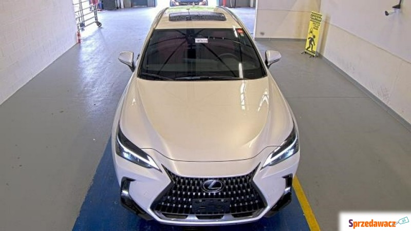 Lexus NX  SUV 2022,  2.4 benzyna - Na sprzedaż za 239 850 zł - Katowice