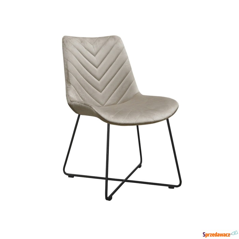 Krzesło Dalia - Różne Kolory 55x56x82cm - Krzesła kuchenne - Kielce
