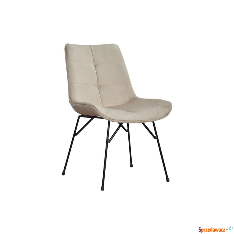 Krzesło Faro - Różne Kolory 39x56x82cm - Krzesła kuchenne - Skierniewice