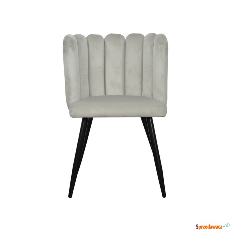 Krzesło Safio - Różne Kolory 54x49x82cm - Krzesła kuchenne - Malbork