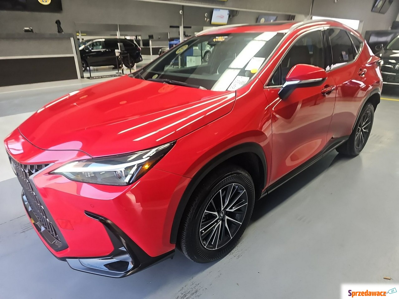 Lexus NX 2023