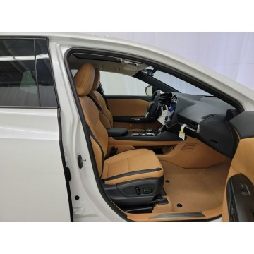 Lexus   SUV 2023 elektryczny, automat - Na sprzedaż za 298 890 zł - Katowice - zdjęcie 8