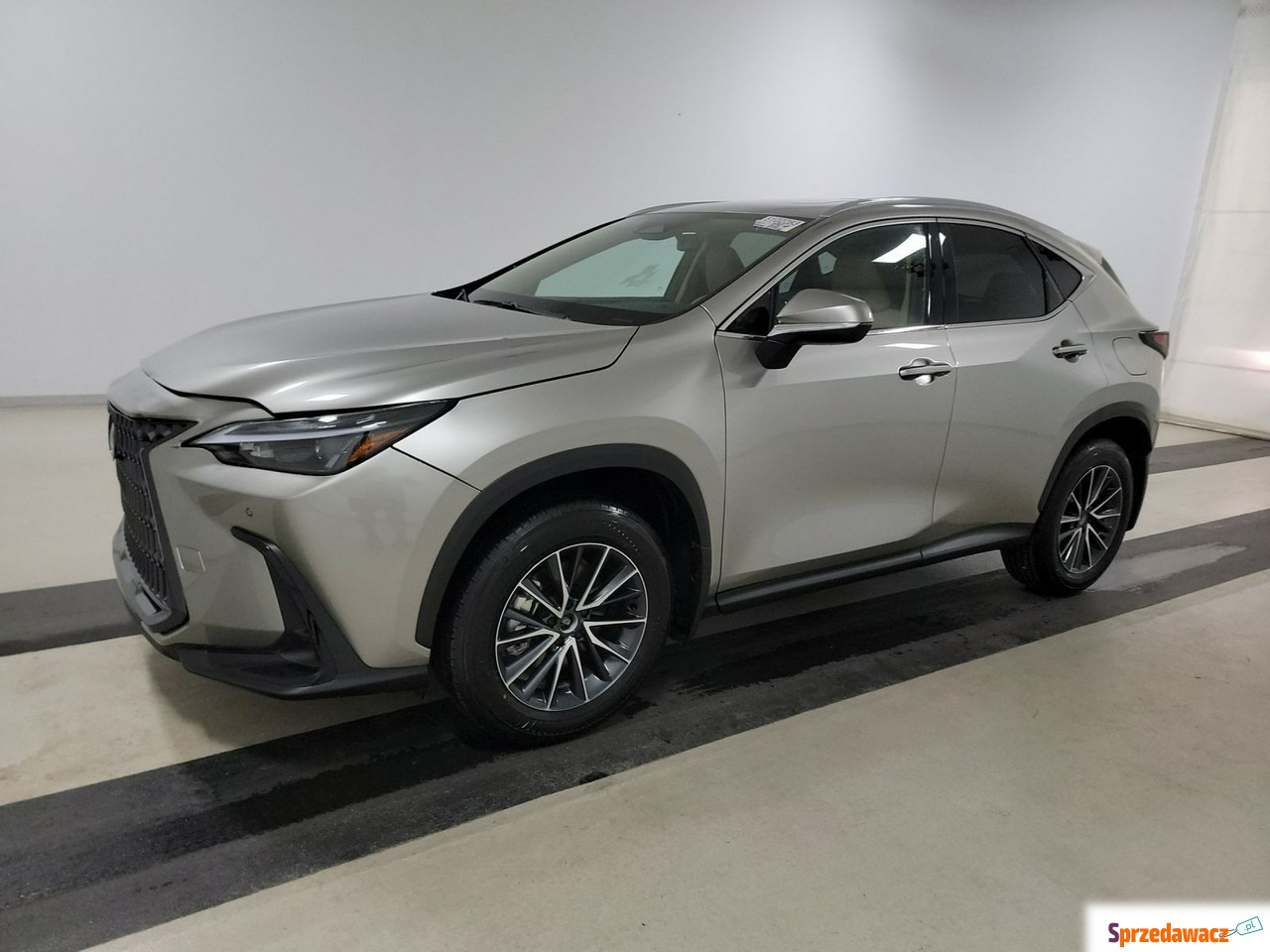 Lexus NX 2023