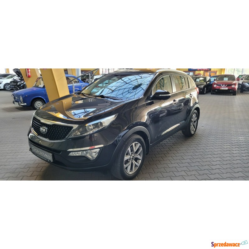 Kia Sportage  SUV 2014,  1.6 benzyna - Na sprzedaż za 60 900 zł - Mysłowice