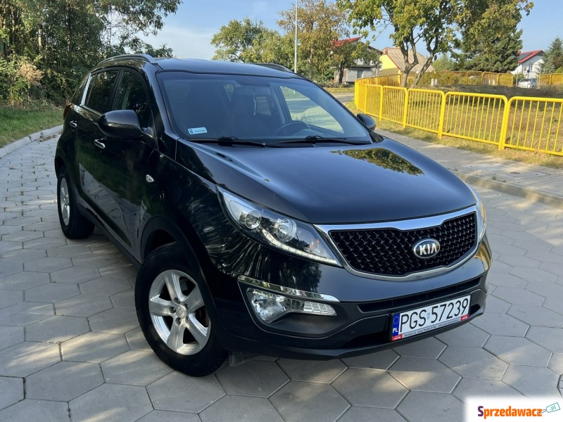 Kia Sportage  SUV 2016,  1.6 benzyna - Na sprzedaż za 57 999 zł - Gostyń