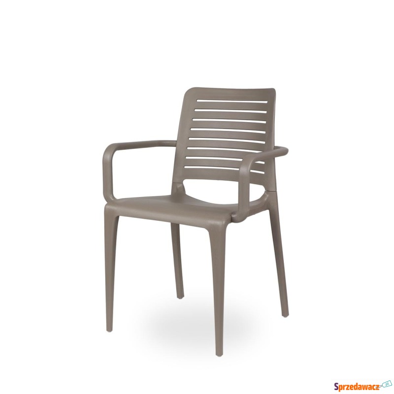 Krzesło Ezpeleta Park jasny brązowy - Krzesła kuchenne - Toruń