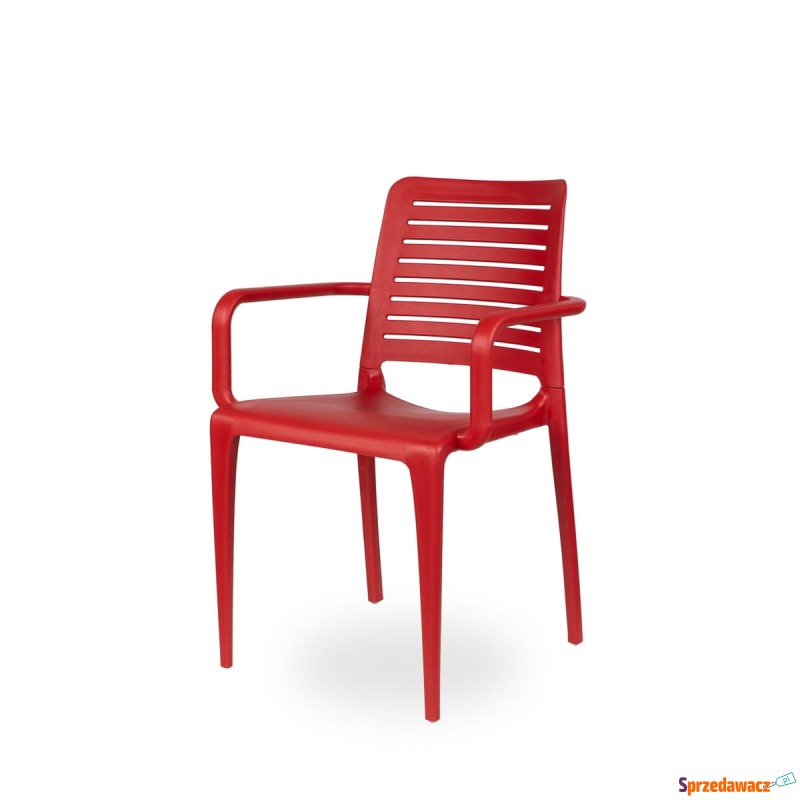 Krzesło Ezpeleta Park czerwony - Krzesła kuchenne - Zielona Góra