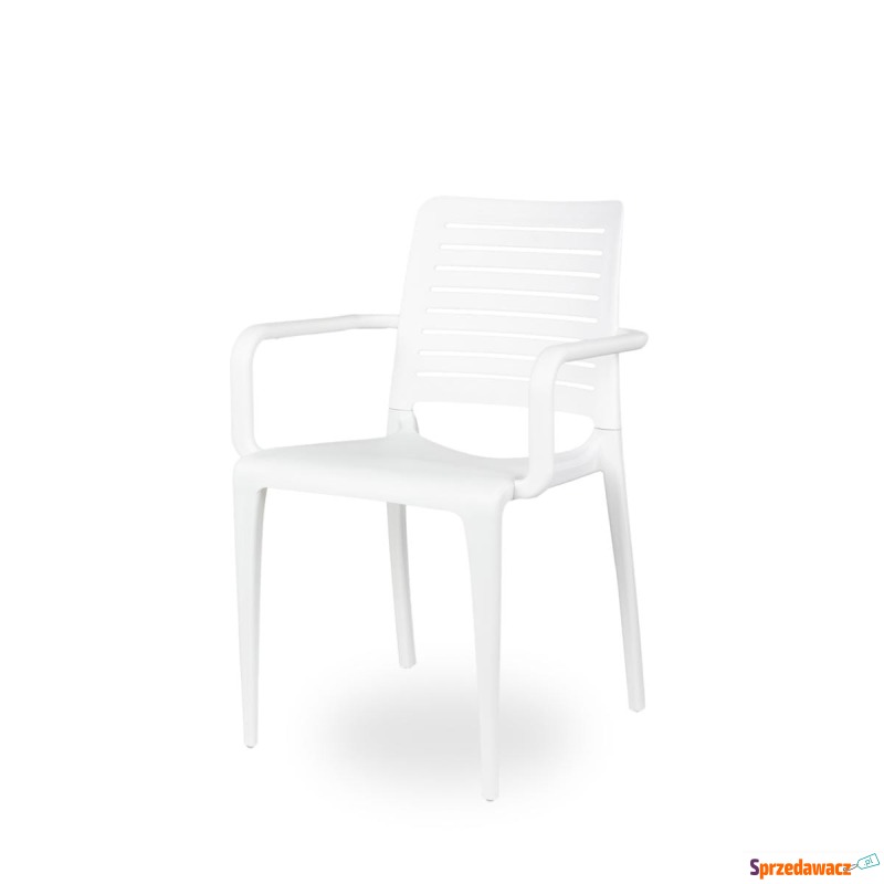 Krzesło Ezpeleta Park biały - Krzesła kuchenne - Lublin