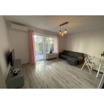 Mieszkanie dwupokojowe Wrocław - Psie Pole,   44 m2, parter - Do wynajęcia - zdjęcie 2